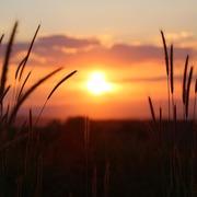belconsult helderziende SAN